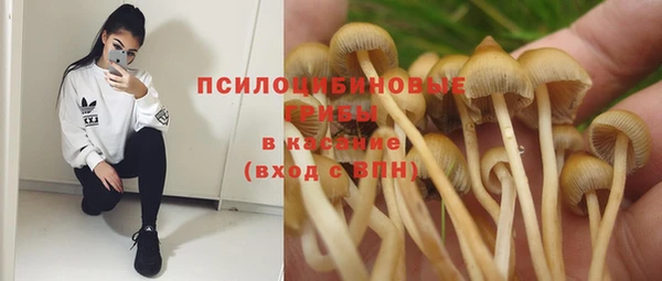 героин Алзамай