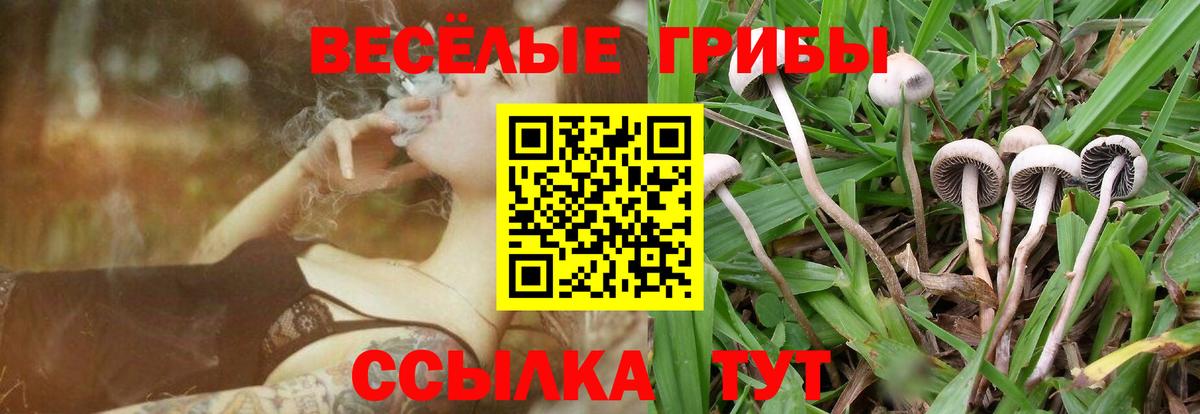 Псилоцибиновые грибы ЛСД Ахтубинск