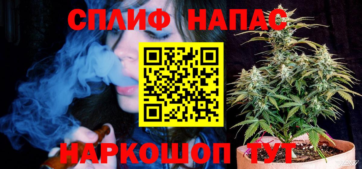 Конопля Amnesia Ахтубинск